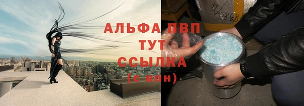 крисы Алзамай