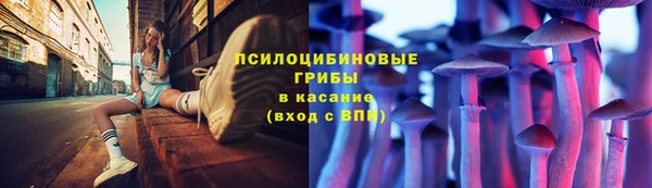крисы Алзамай